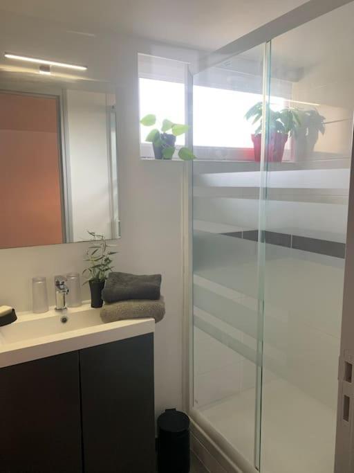 Ravissant En Bord De Apartment Plerin